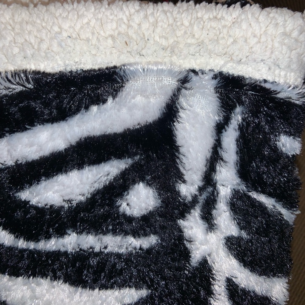 zebra print blank